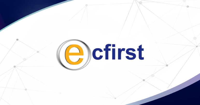 Professional Development Resources ecfirst - WellLink Innovations